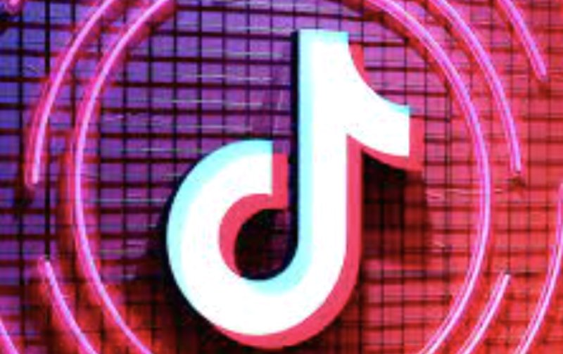 视频营销逆势崛起!TikTok成品牌新宠,粉丝网助你轻松打造网红效应! tk刷粉