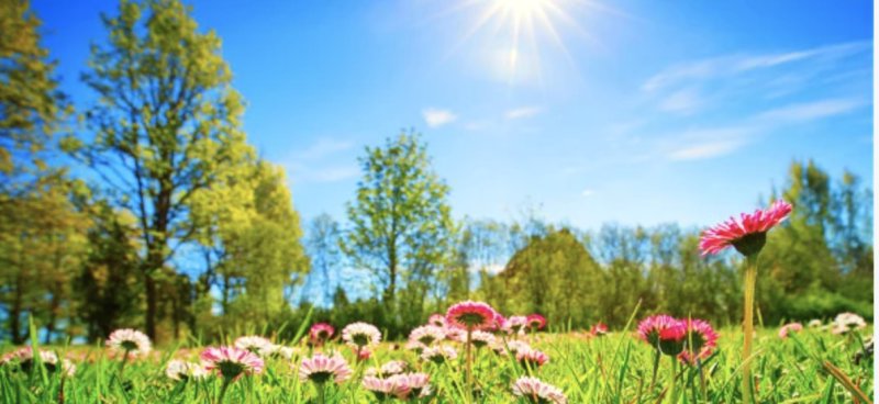 20个instagram上快速涨粉的推广运营技巧,跨境电商热卖秘籍 20个instagram上快速涨粉的推广运营技巧,跨境电商热卖秘籍