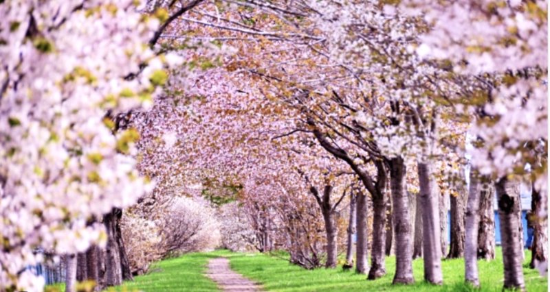 20个instagram上快速涨粉的推广运营技巧,跨境电商热卖秘籍 20个instagram上快速涨粉的推广运营技巧,跨境电商热卖秘籍