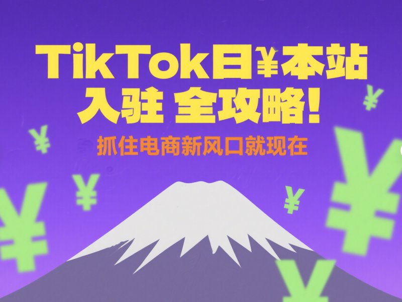 tiktok刷粉